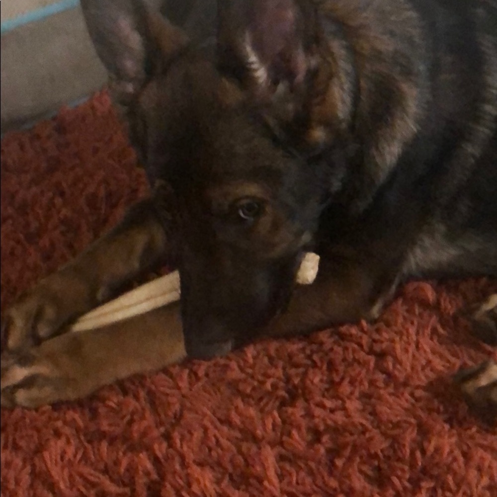 Meet your Posher, Matt